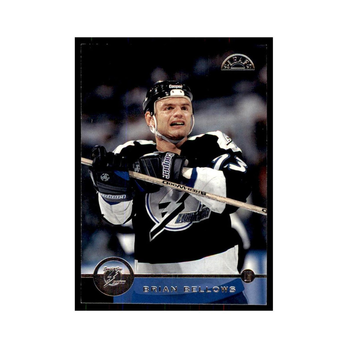 Brian Bellows 1996 Leaf #10 Hockey Cards Hockey Card NM