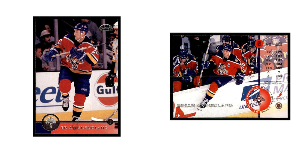 Brian Skrudland 1996 Leaf #69 Hockey Cards Hockey Card NM