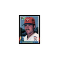 Tom Brunansky 1985 Leaf #36 Minnesota Twins Baseball Card NM