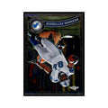 2011 Topps Chrome Brandon Pettigrew Football Cards #49