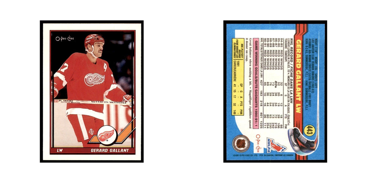 Gerard Gallant 1991 O-Pee-Chee #443 Detroit Red Wings Hockey Card NM