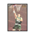 Dino Radja 1996 SkyBox Premium #8 Boston Celtics Basketball Card NM