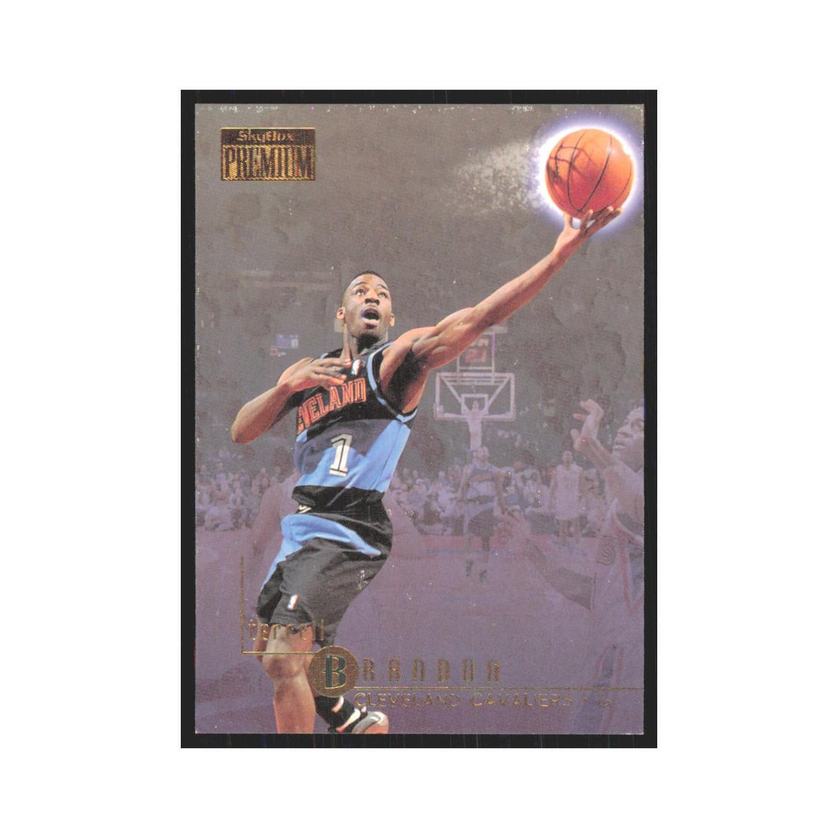 Terrell Brandon 1996 SkyBox Premium #20 Cleveland Cavaliers Basketball Card NM