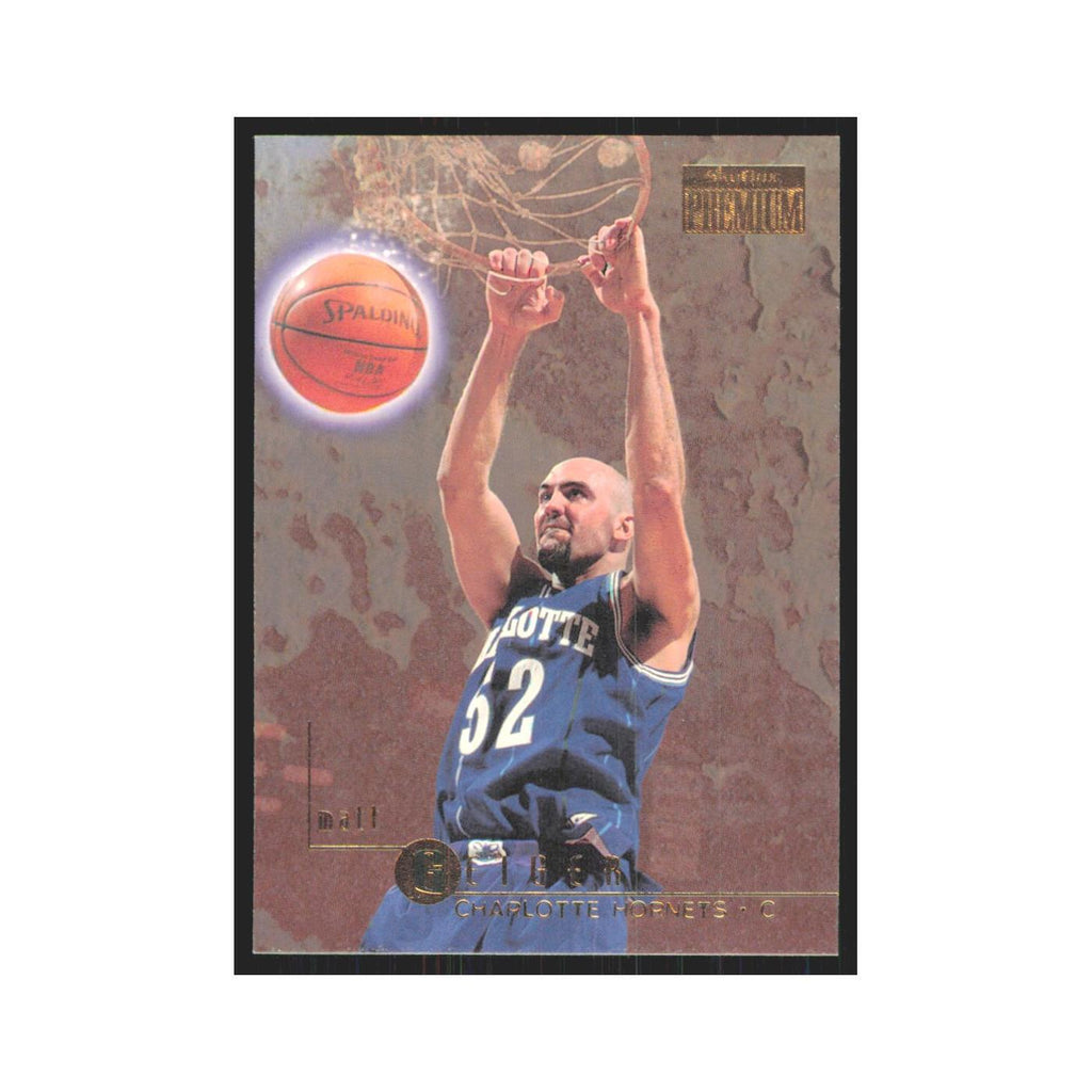 Matt Geiger 1996 SkyBox Premium #13 Charlotte Hornets Basketball Card NM