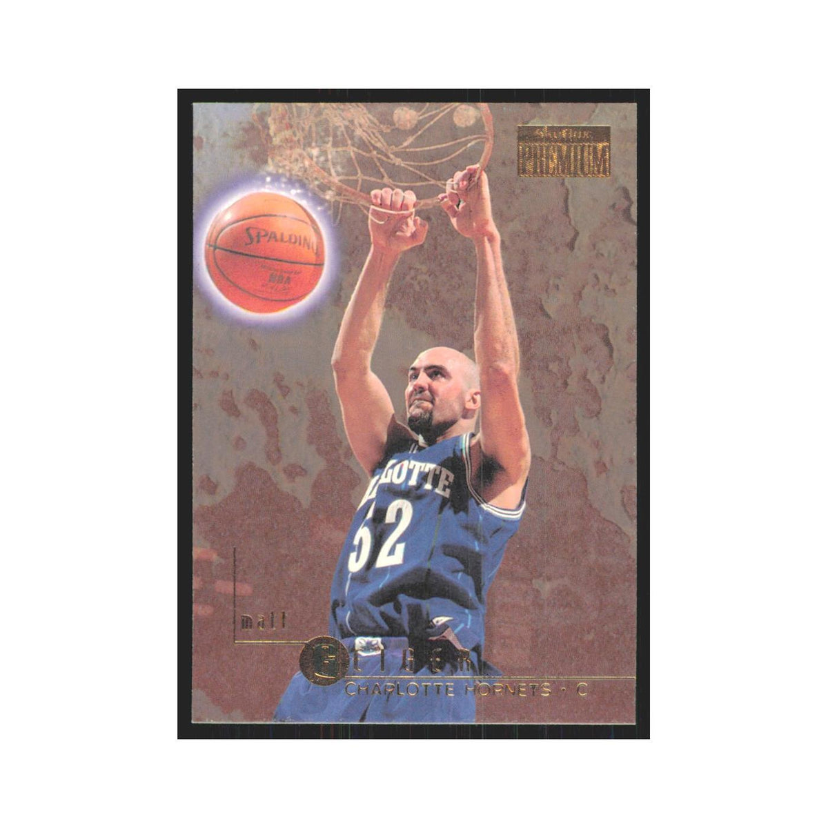 Matt Geiger 1996 SkyBox Premium #13 Charlotte Hornets Basketball Card NM