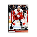 2023 Upper Deck Michael Rasmussen Detroit Red Wings #315