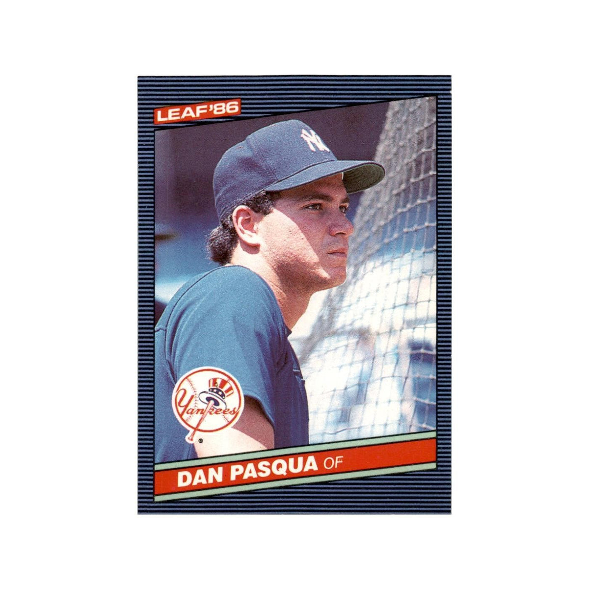 Dan Pasqua 1986 Leaf #195 New York Yankees Baseball Card NM