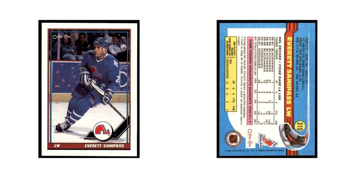 Everett Sanipass 1991 O-Pee-Chee #315 Quebec Nordiques Hockey Card NM