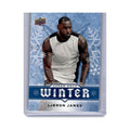 2017 Upper Deck Winter LeBron James #W2