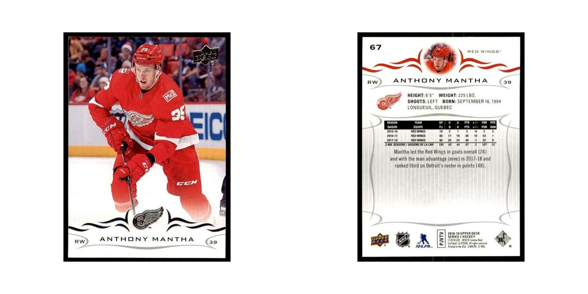 Anthony Mantha 2018 Upper Deck #67 Hockey Cards Hockey Card NM