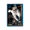 Travis Fryman 1995 Collector's Choice SE #222 Detroit Tigers Baseball Card NM