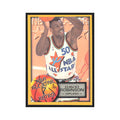 1996 Fleer David Robinson Spurs #286