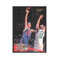 1996 Fleer Shawn Bradley Nets #67