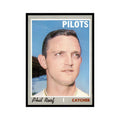 1970 Topps (Damaged) Phil Roof Baseball Cards #359