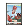 1970 Topps Joe Coleman Baseball Cards #127