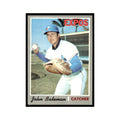 1970 Topps John Bateman Baseball Cards #417