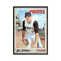 1970 Topps Joe Gibbon Baseball Cards #517