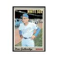 1970 Topps Don Gutteridge Baseball Cards #123