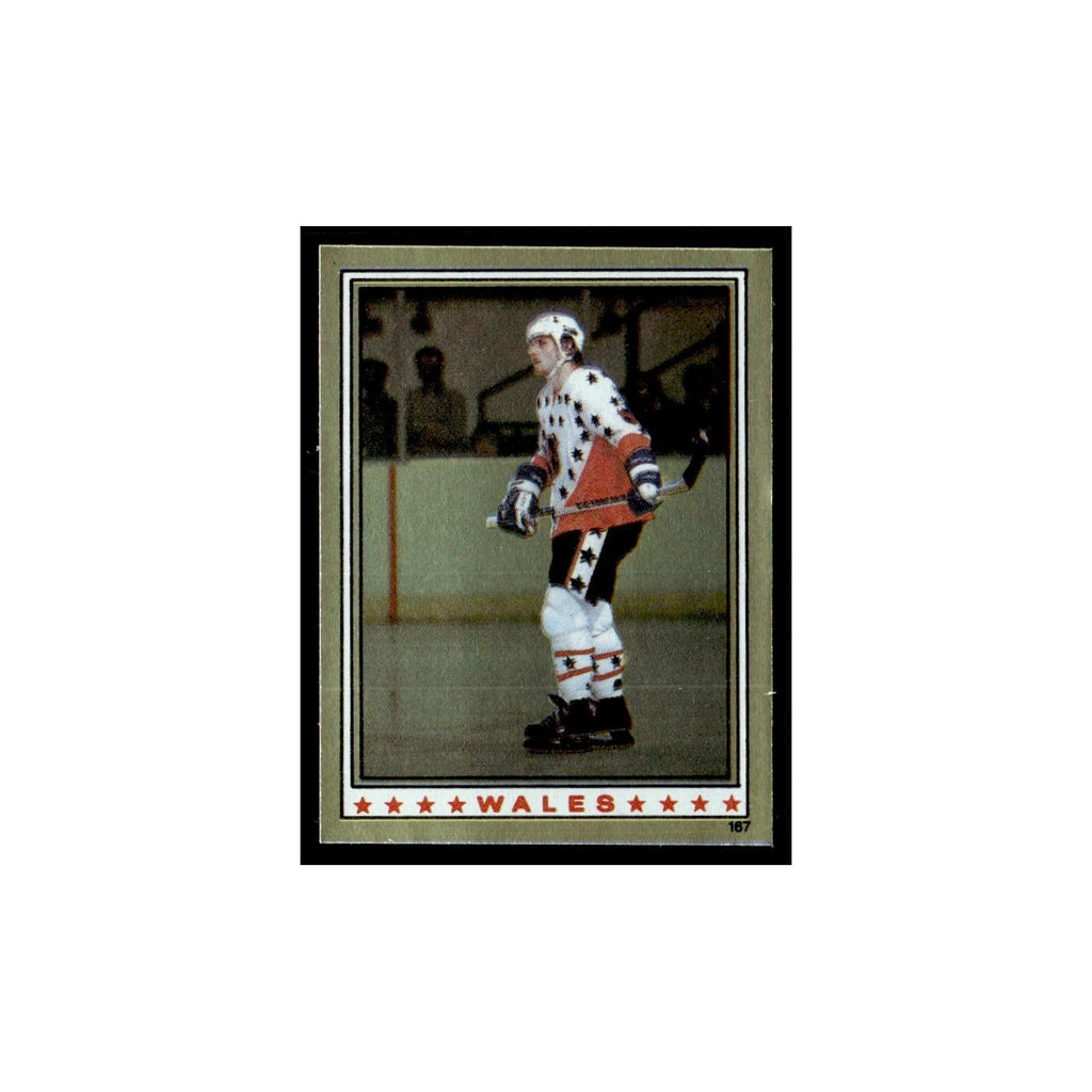 Peter Stastny 1982 Topps Stickers #167 Quebec Nordiques Hockey Card EX