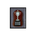 Lady Byng Trophy 1982 Topps Stickers #263 Hockey Card EX