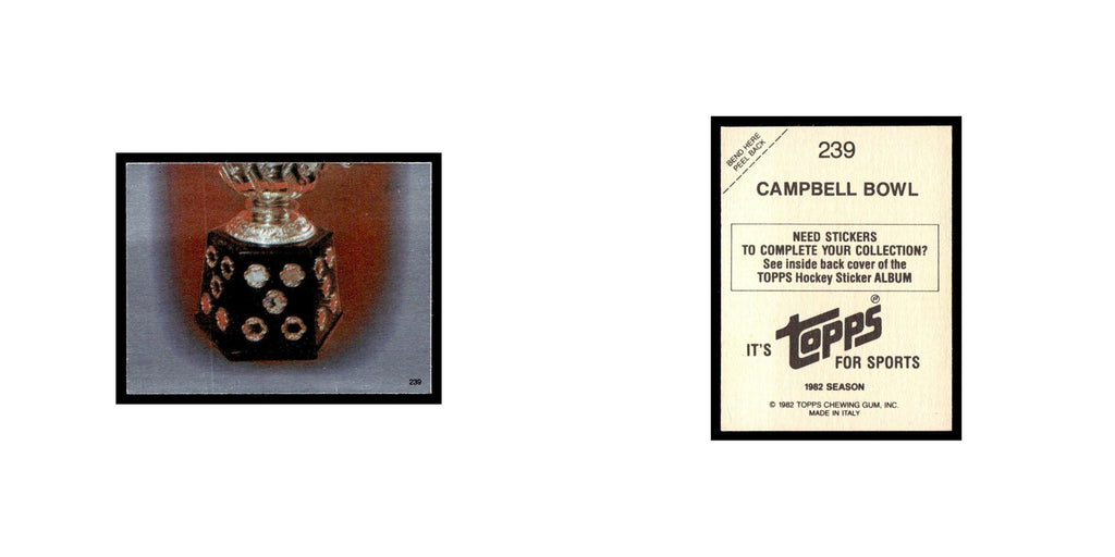 Campbell Bowl bottom 1982 Topps Stickers #239 Hockey Card EX