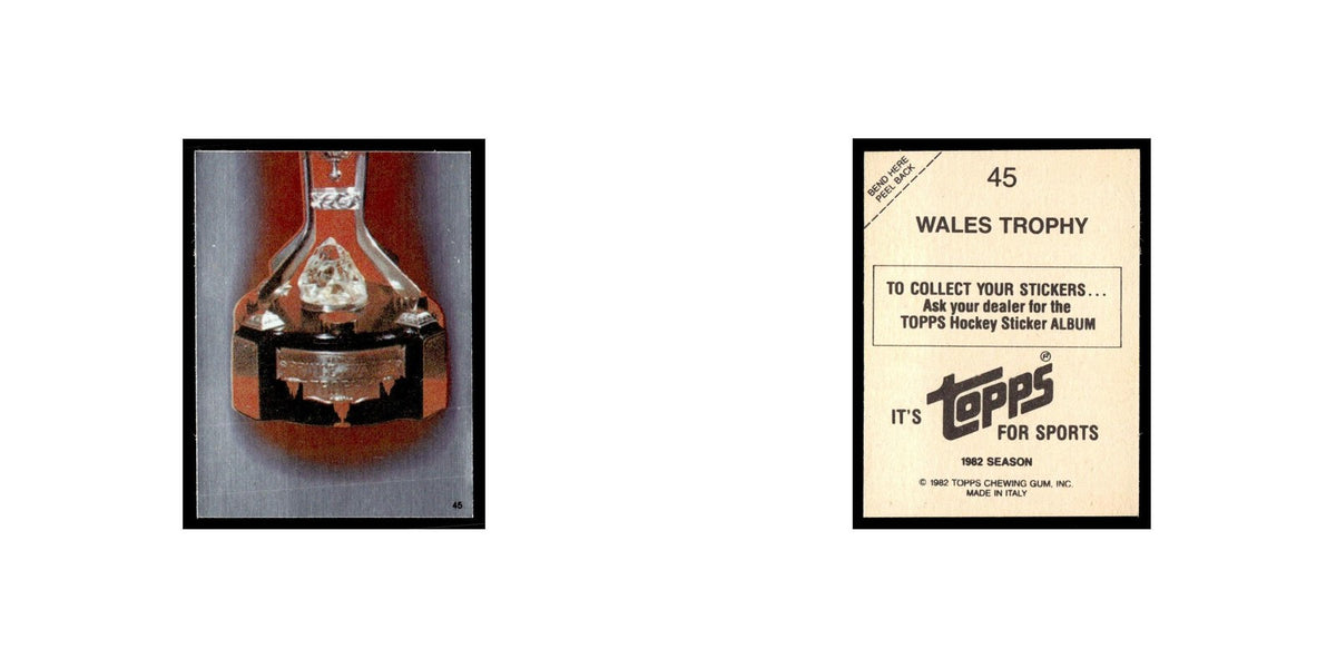 Wales Trophy 1982 Topps Stickers #45 Hockey Card EX
