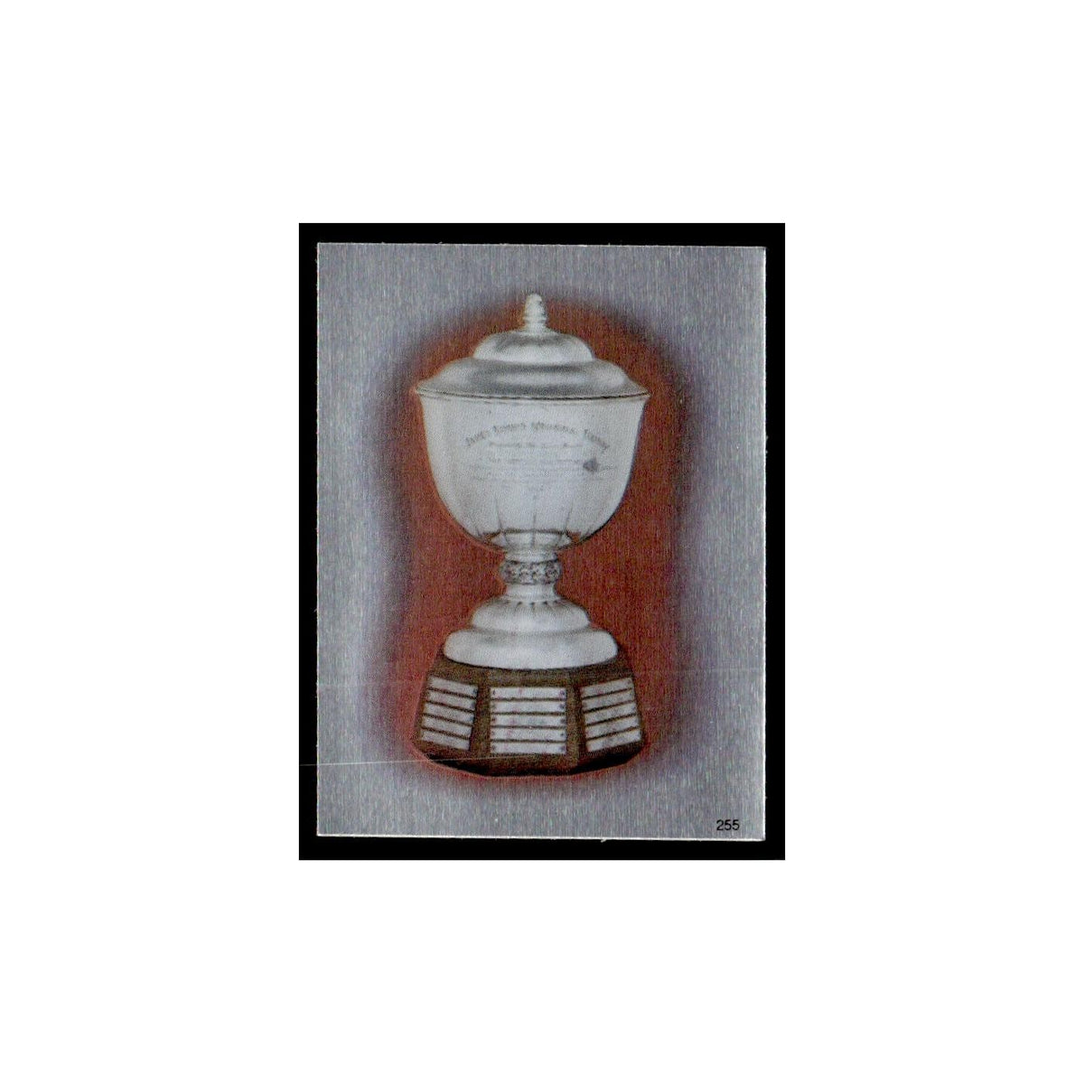 Norris Trophy 1982 Topps Stickers #255 Hockey Card EX