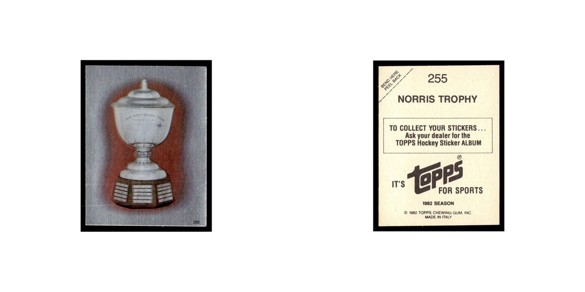 Norris Trophy 1982 Topps Stickers #255 Hockey Card EX