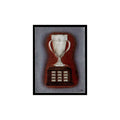 Calder Memorial Trophy 1982 Topps Stickers #248 Hockey Card EX