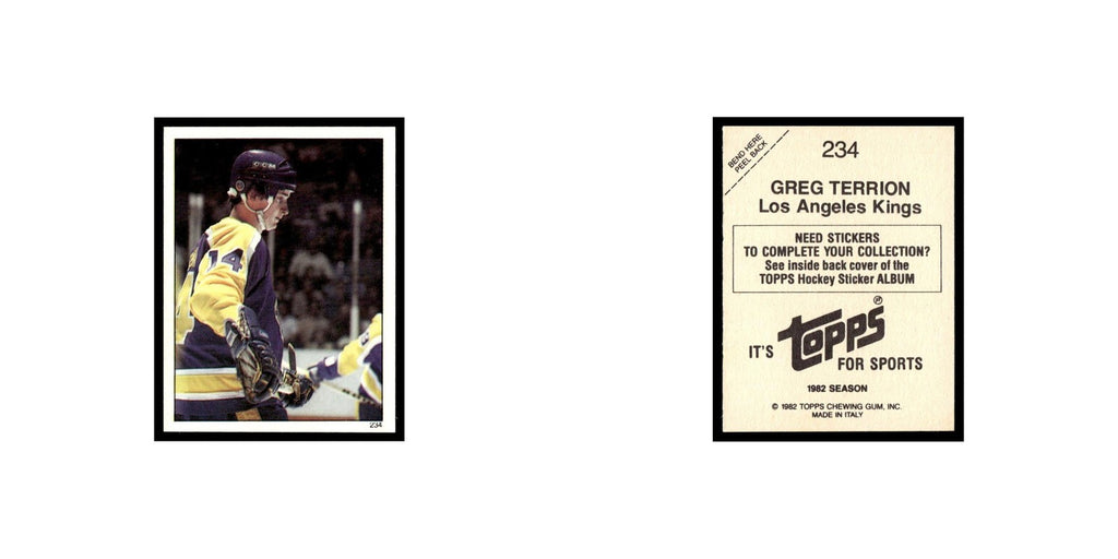 Greg Terrion 1982 Topps Stickers #234 Los Angeles Kings Hockey Card EX