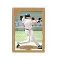 Javy Lopez 1997 Topps Gallery #100 Atlanta Braves Baseball Card NM