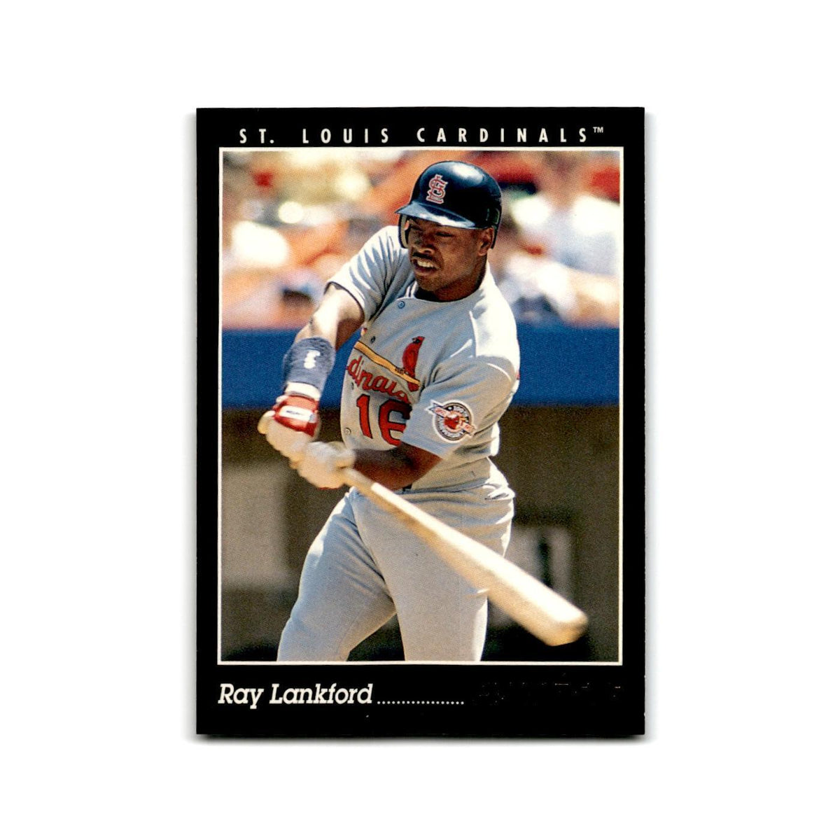 Ray Lankford 1993 Pinnacle #116 St. Louis Cardinals Baseball Card NM