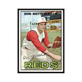 1967 Topps Baseball Card Don Nottebart Reds #269
