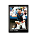 Damon Berryhill 1993 Pinnacle #392 Atlanta Braves Baseball Card NM