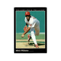 Mitch Williams 1993 Pinnacle #565 Philadelphia Phillies Baseball Card NM