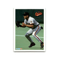 David Segui 1994 Fleer #20 Baltimore Orioles Baseball Card NM