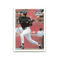 Vinny Castilla 1994 Fleer #437 Colorado Rockies Baseball Card NM