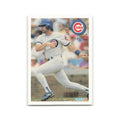 Steve Lake 1994 Fleer #388 Chicago Cubs Baseball Card NM