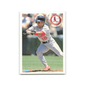 Luis Alicea 1994 Fleer #627 St. Louis Cardinals Baseball Card NM
