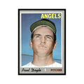 1970 Topps (Damaged) Paul Doyle Angels #277