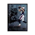 Danny Amendola Deion Branch 2017 Panini Illusions #60 New England Patriots NM