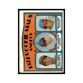 1972 Topps (Damaged) Billy Parker/Art Kusnyer/Tom Silverio RC Angels #213
