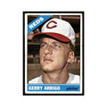 1966 Topps Gerry Arrigo Reds #357
