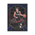 2020-21 Panini Select Goran Dragic Heat #22