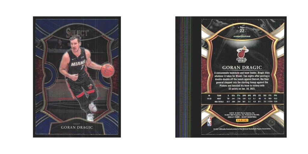 2020-21 Panini Select Goran Dragic Heat #22