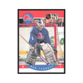 1990 Pro Set Ron Tugnutt Quebec Nordiques #258