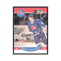 1990 Pro Set Mario Marois Quebec Nordiques #253