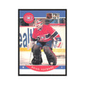 1990 Pro Set Brian Hayward Montreal Canadiens #150