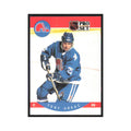 1990 Pro Set Tony Hrkac Quebec Nordiques #248