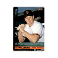 Matt Williamms 1994 O-Pee-Chee #80 San Francisco Giants Baseball Card NM